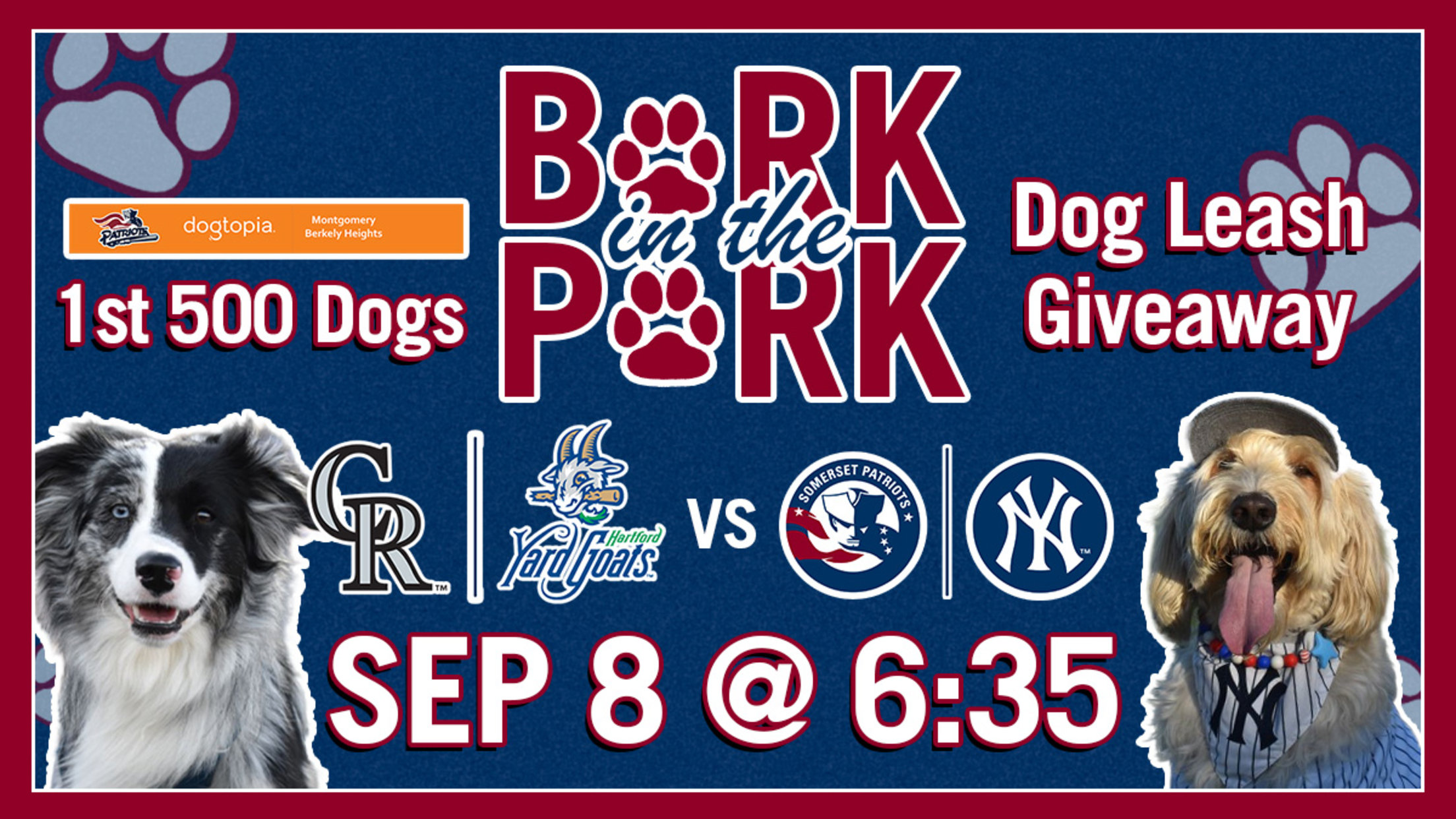 bark in the park